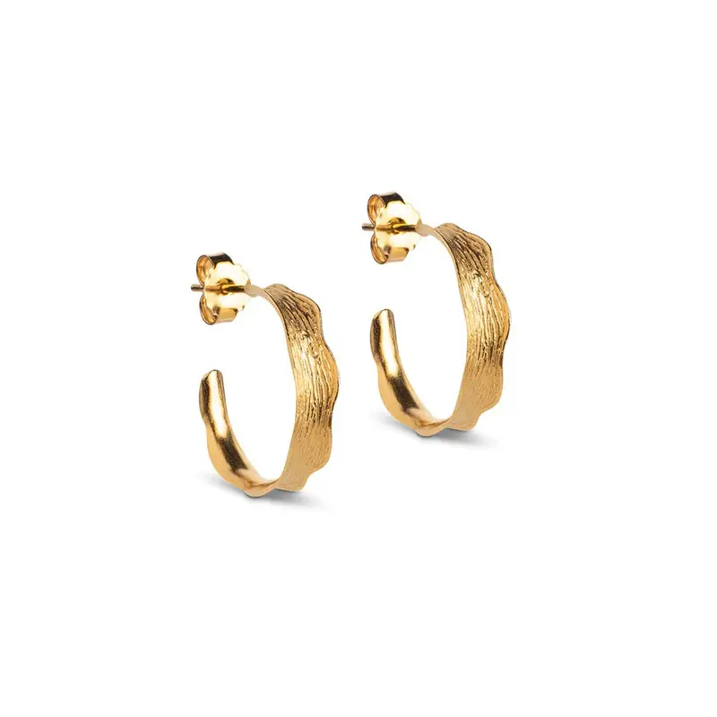 Ane Small Hoops