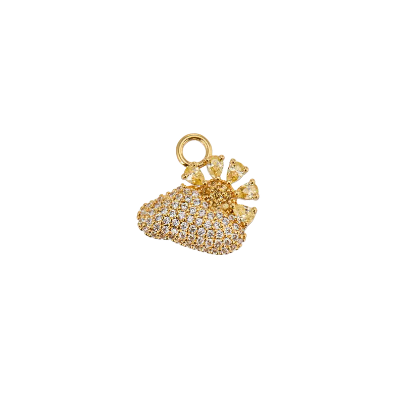 Anne charm