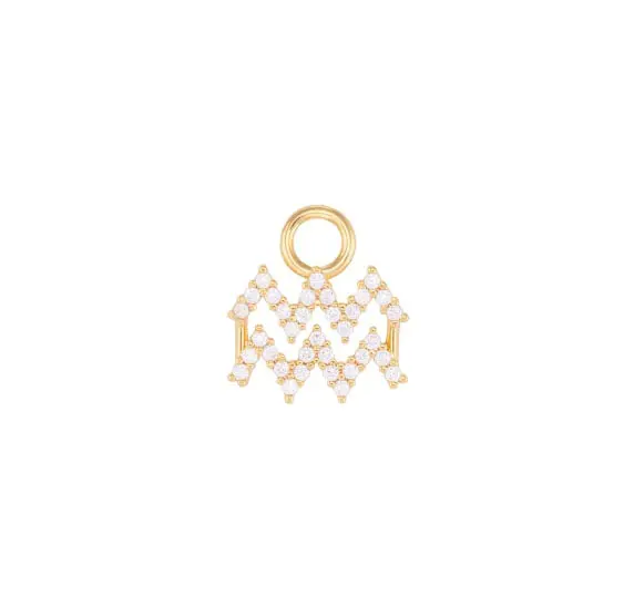 Aquarius Charm