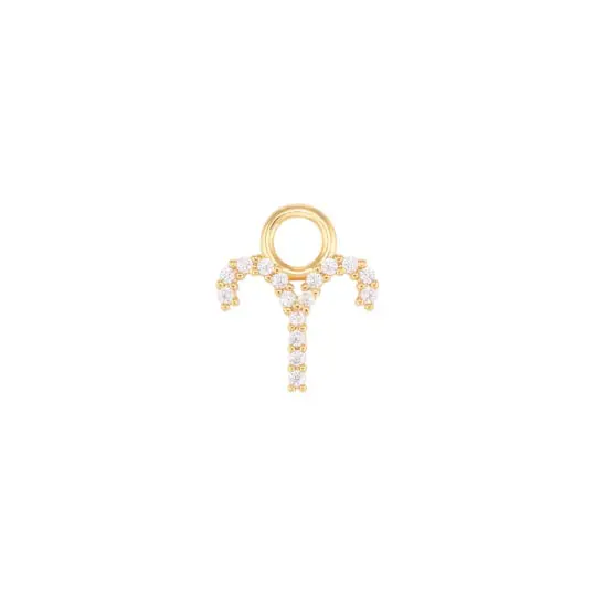 Aries Charm