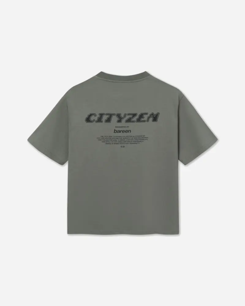 Bard Box Fit Heavy T-Shirt - Castor Gray