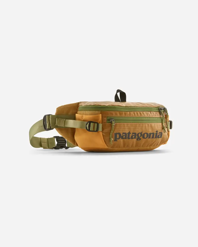 Black Hole Waist Pack 5L - Pufferfish Gold