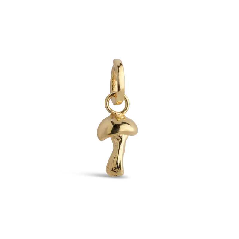 Charm, Adventorous Mushroom