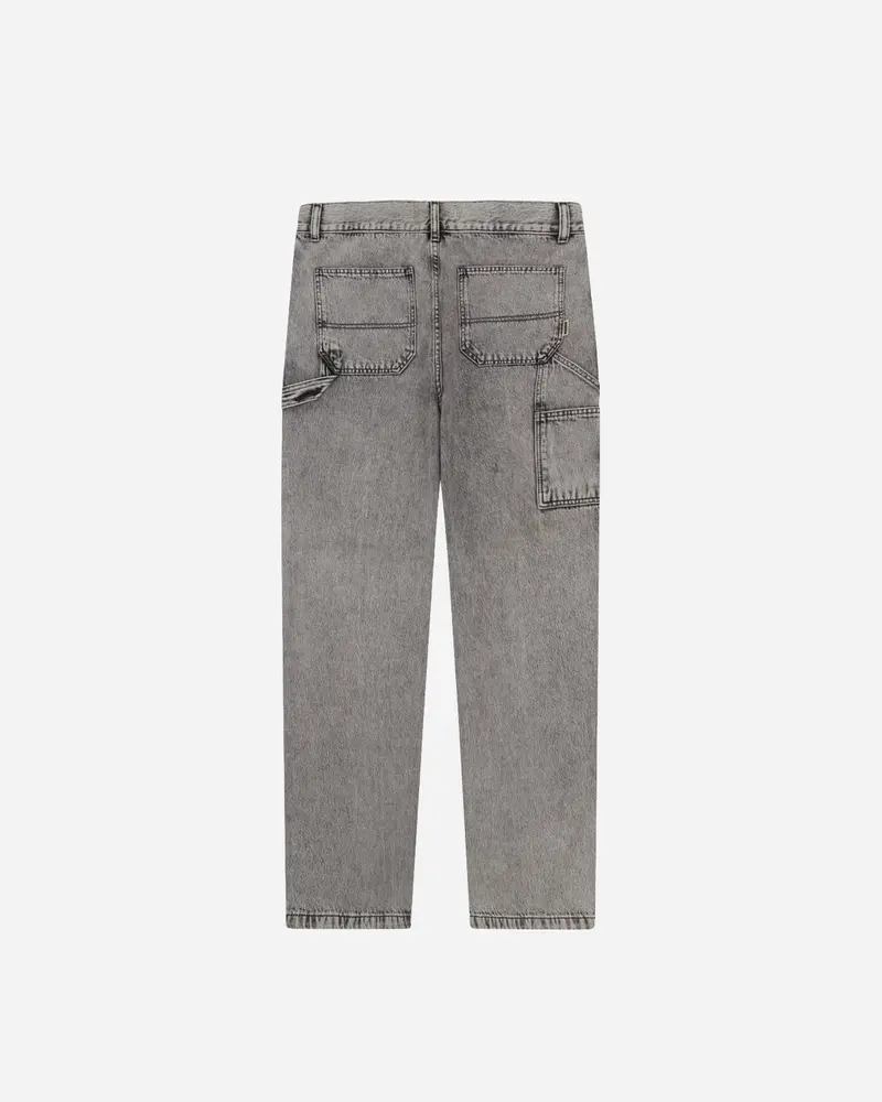 Dizzon Snow Pant - Grey
