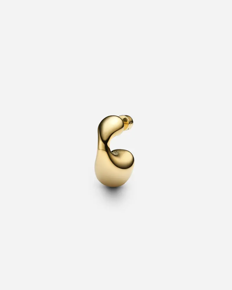 Dolphin Earring Small