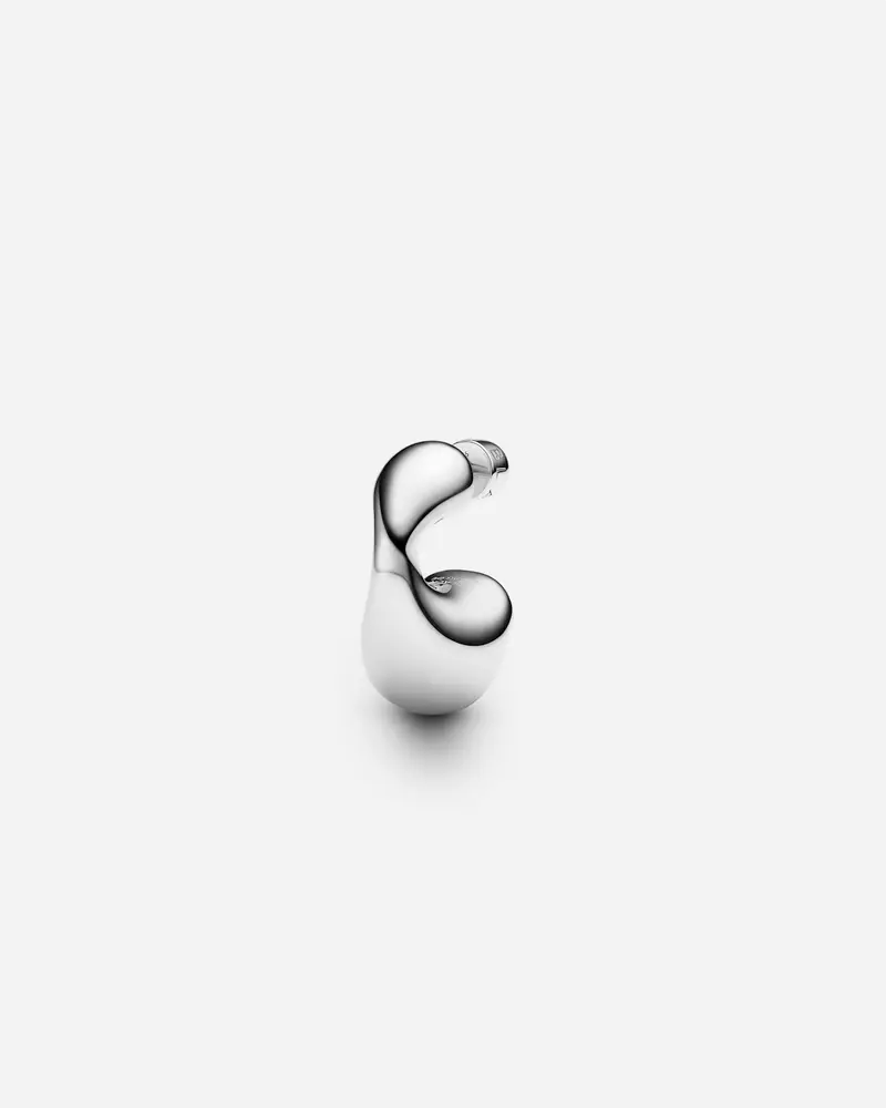 Dolphin Earring Small