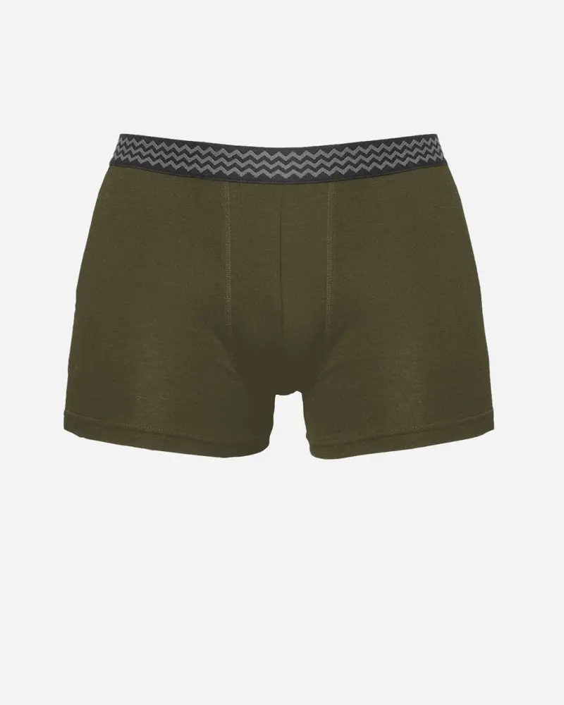 ELSK® MEN’S MICROMODAL UNDERWEAR – BOXERS (2-PACK) - PINE GREEN