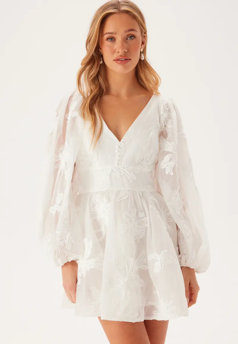 Eva Chiffon Mini Dress