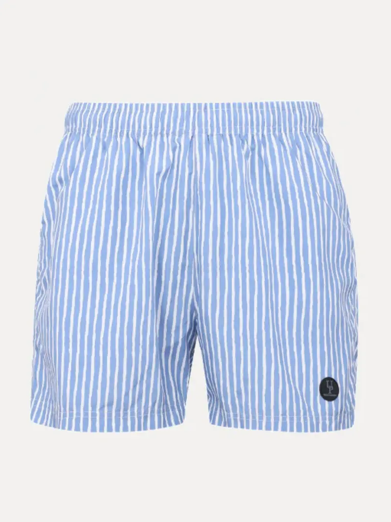 Hawaii Shorts AOP