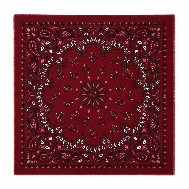 Large Paisley Scarf - Bordeaux