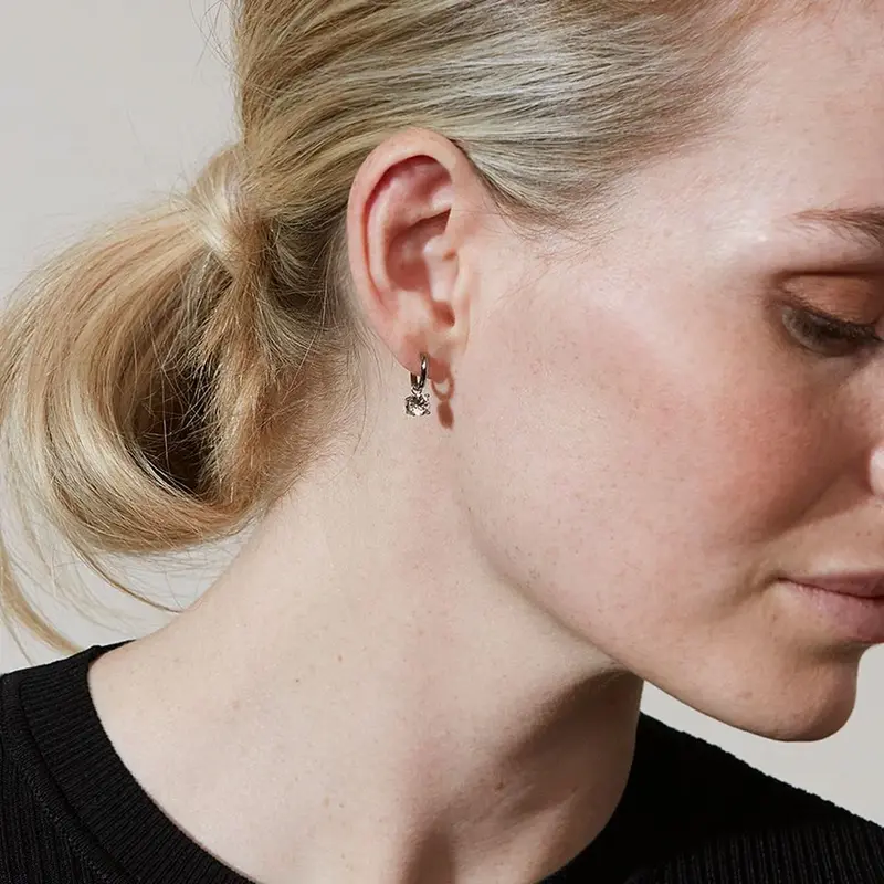 Leonore Hoops Steel
