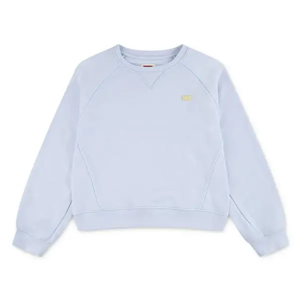 Levis Collegegenser