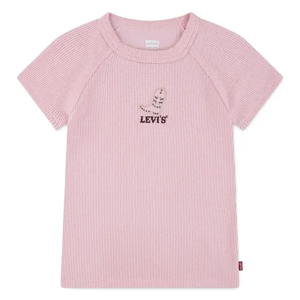Levis Lvg Color Block Raglan T-skjorte