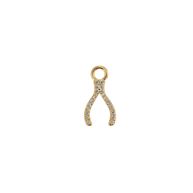 Lisa charm