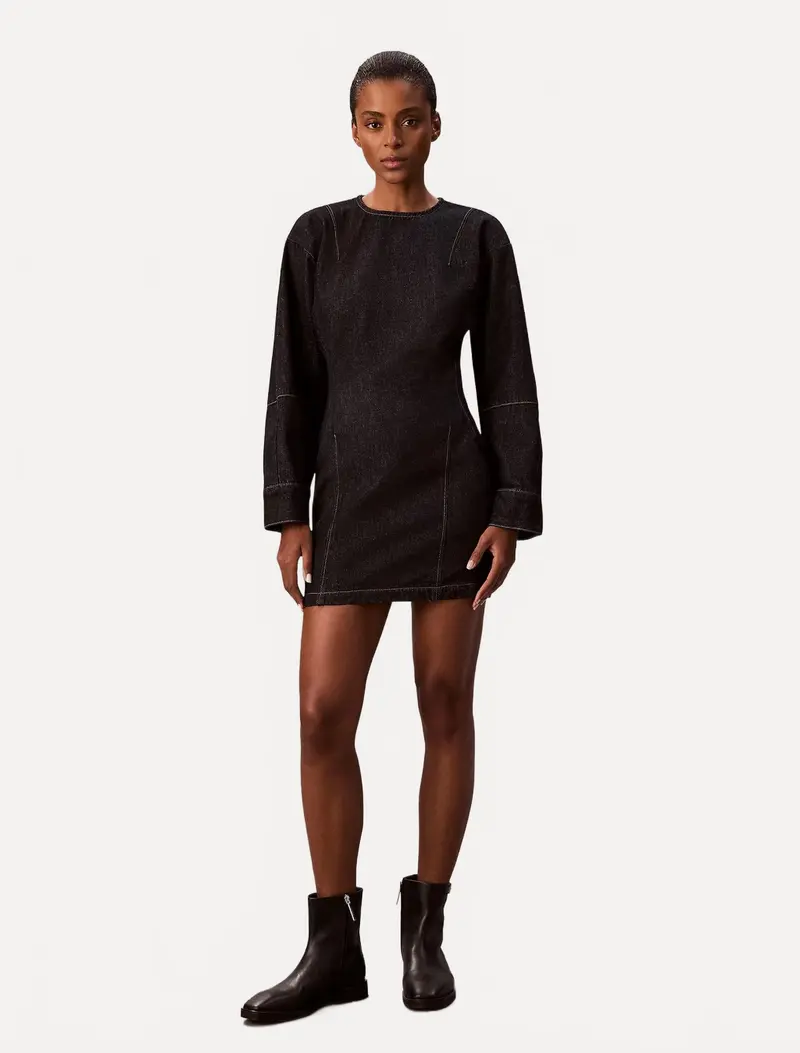 Long Sleeve Denim Mini Dress