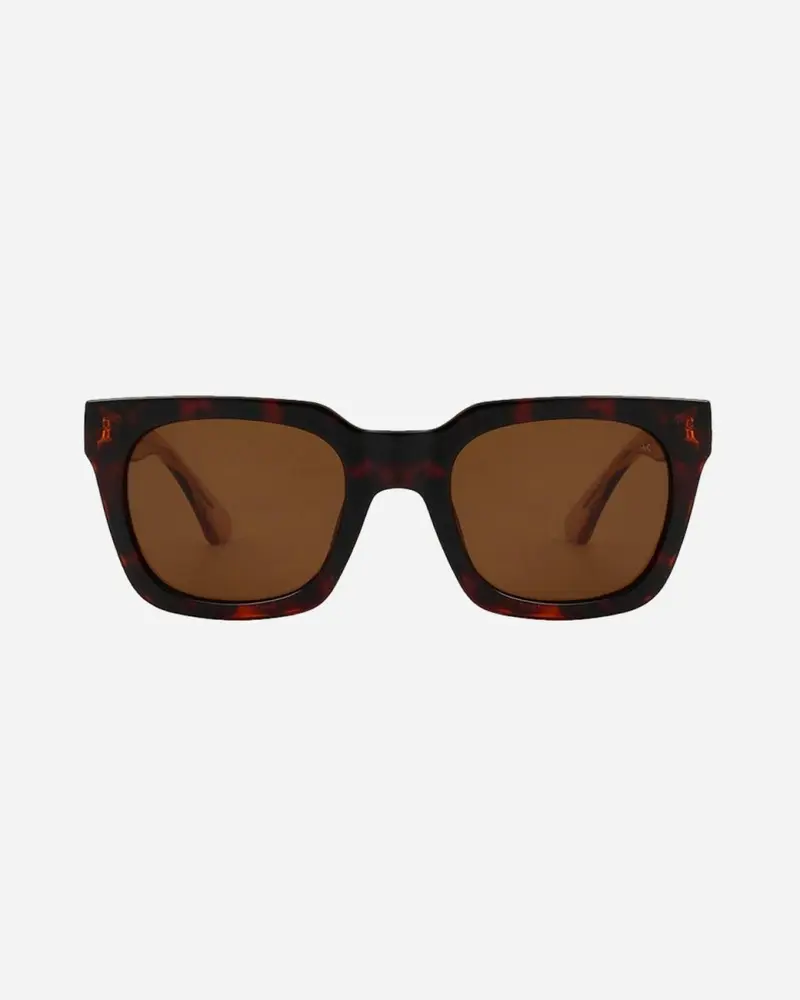 Nancy - Demi Tortoise