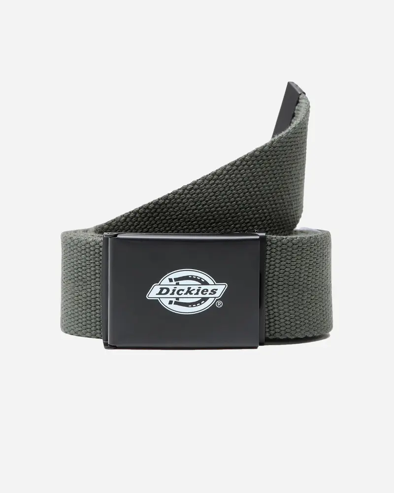 Orcutt Webbing Belt - Olive Green