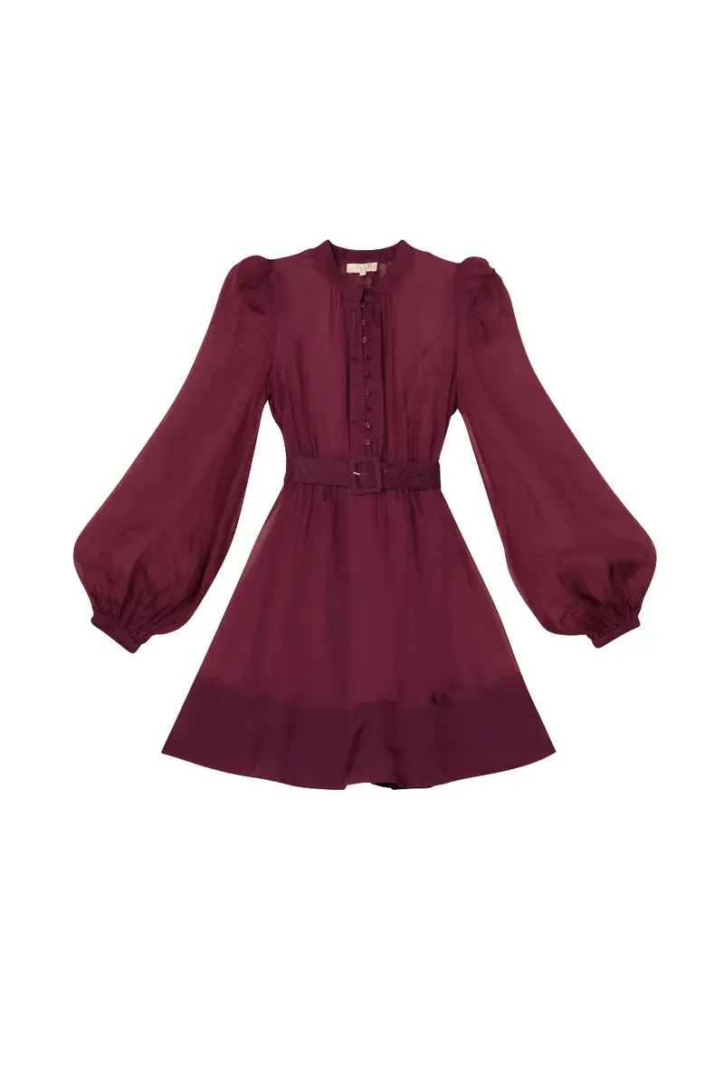 Organza Mini Dress Burgunder