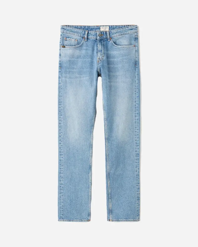 Rex - Light Blue