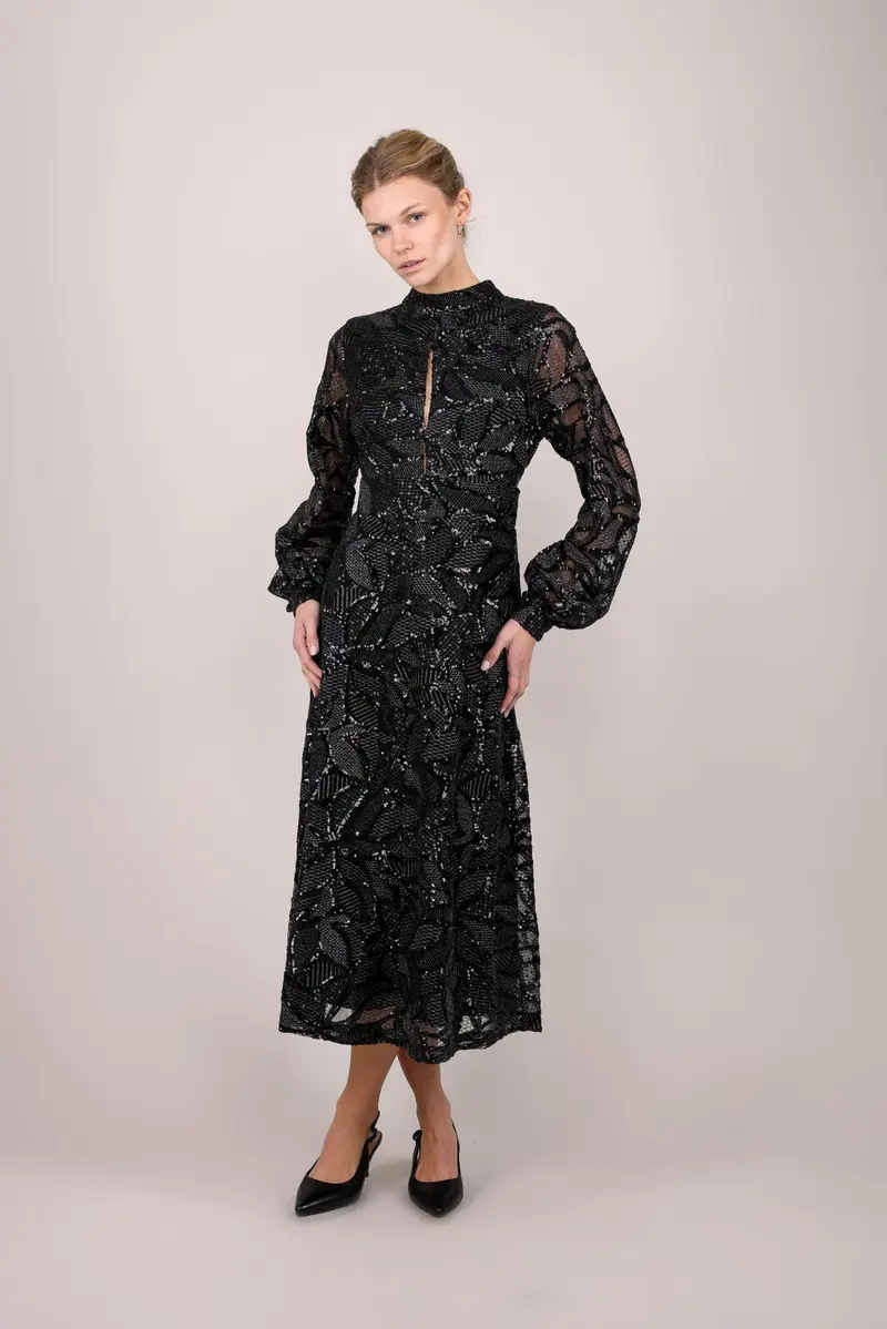 Sagin Dress