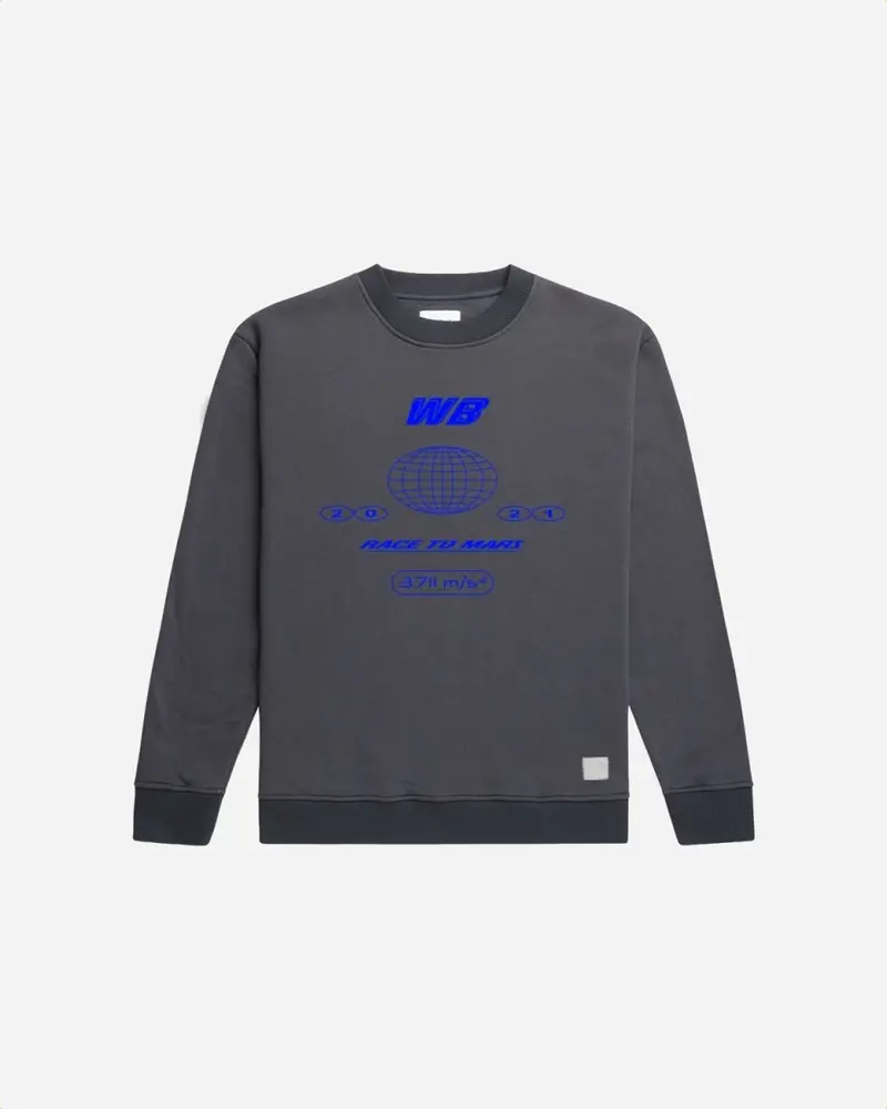 Sane World Crew - Dark Grey