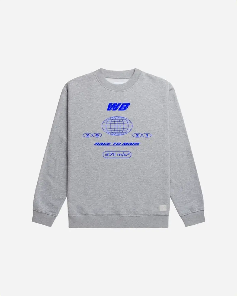 Sane World Crew - Grey Melange