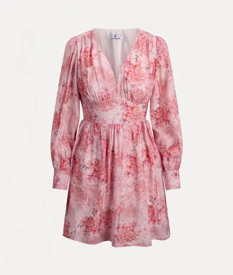 Sasha Dress