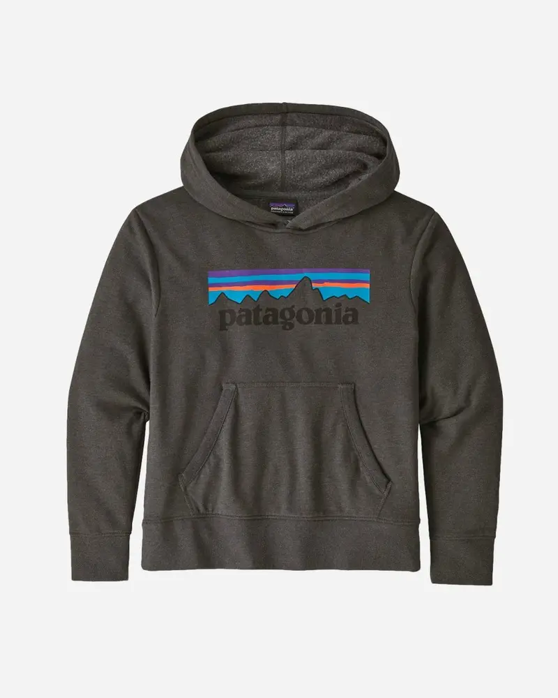 Teens LW Graphic Hoody Sweatshirt