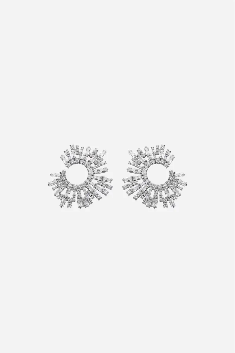 The Shimmering Earrings