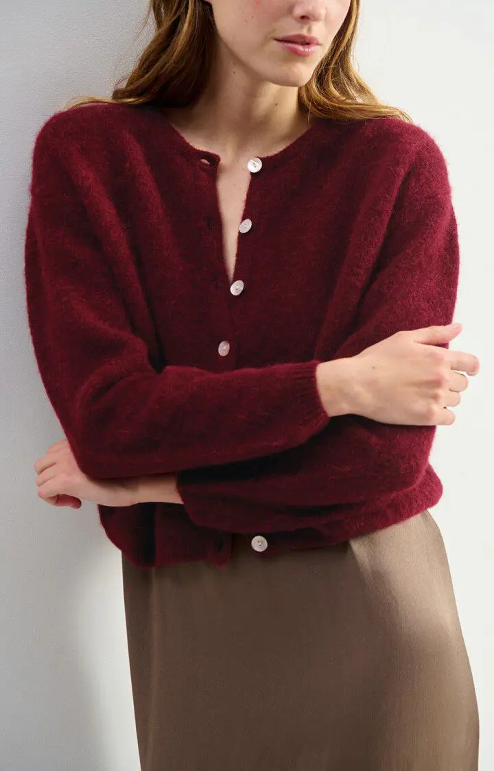 Vitow Sweater - Cherry Tree Melange