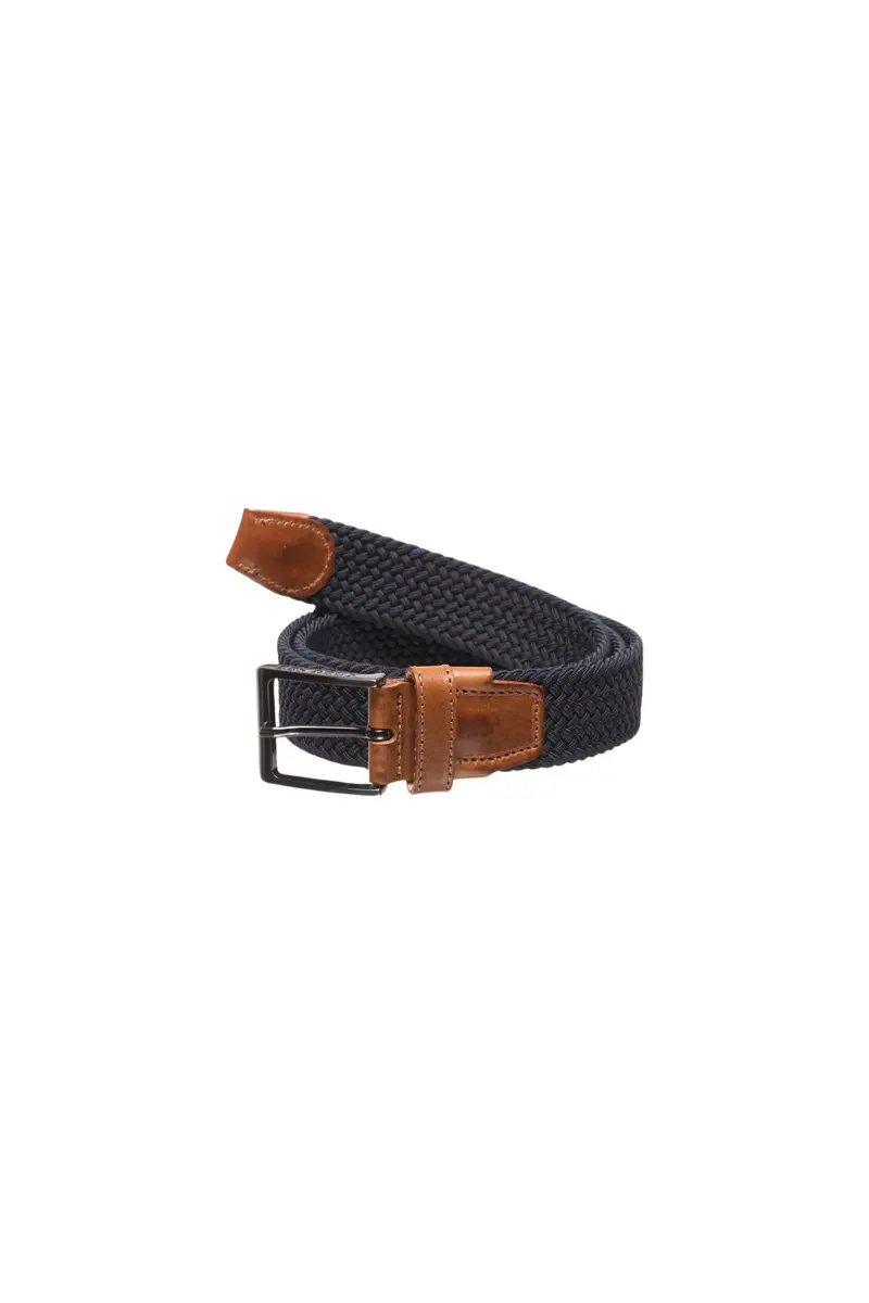 Walker webbing belt