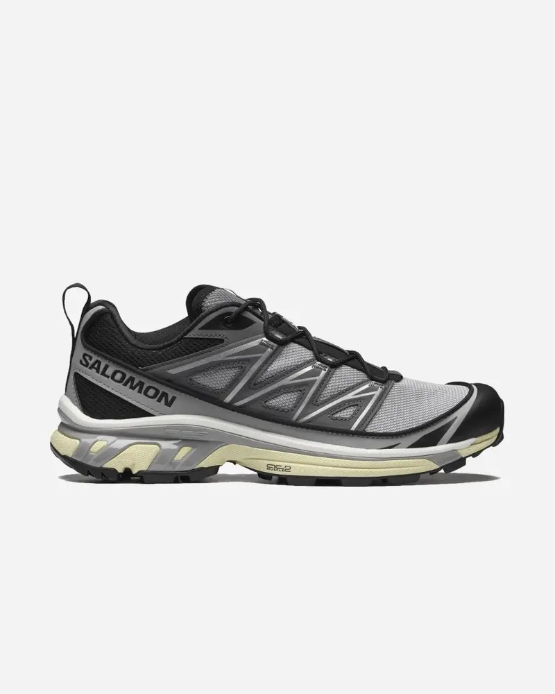 XT-6 Expanse - Alloy/Quiet Shade/Black